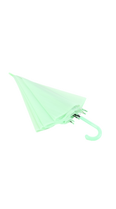 3 - مظلة شفافة خفيفة - لون أخضر نعناع